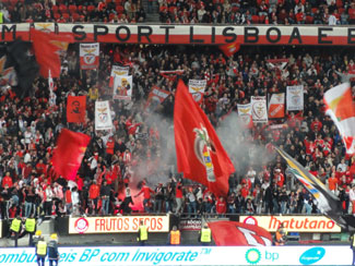 Fans von Benfica Lissabon
