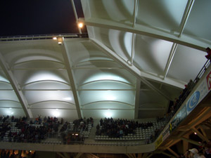 Das Dach des Auguste-Delaune II