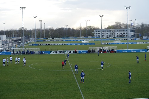 Viele Spielfelder im Parkstadion des FC Schalke 04