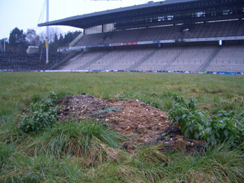 Der einst heilige Rasen