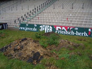 Englischer Rasen sieht anders aus