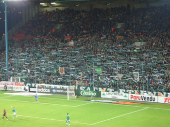 Schalparade bei den Magic Fans