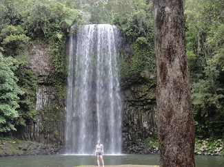 Millaa Millaa Falls