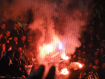 Bengalos im Land of hope and glory