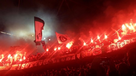 Bengalos in Düsseldorf