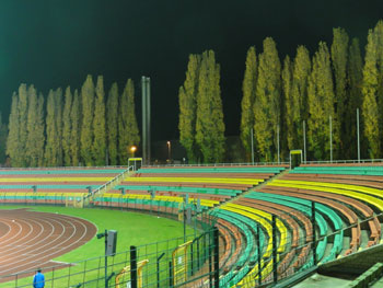 Bäume und bunte Sitze