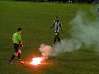 Bengalo auf dem Rasen