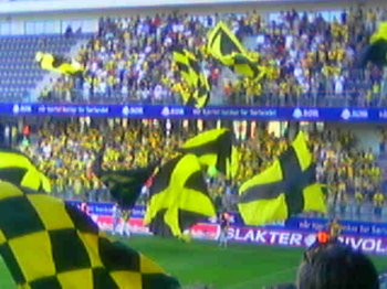 Schwenkfahnen zum Intro