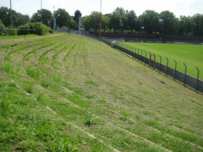 Auf der Gegengerade macht sich Unkraut breit