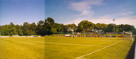 Viel Grün in Schermbeck