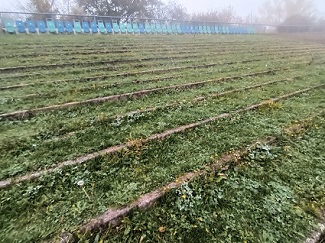 Stufen, Stufen, Stufen