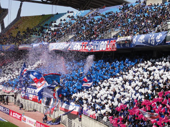 Choreographie der Suwon Bluewings