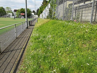 Sportanlage Hoffeldstraße