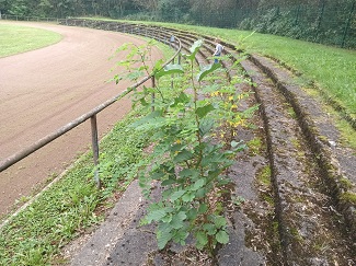 Tribüne in Eschweiler